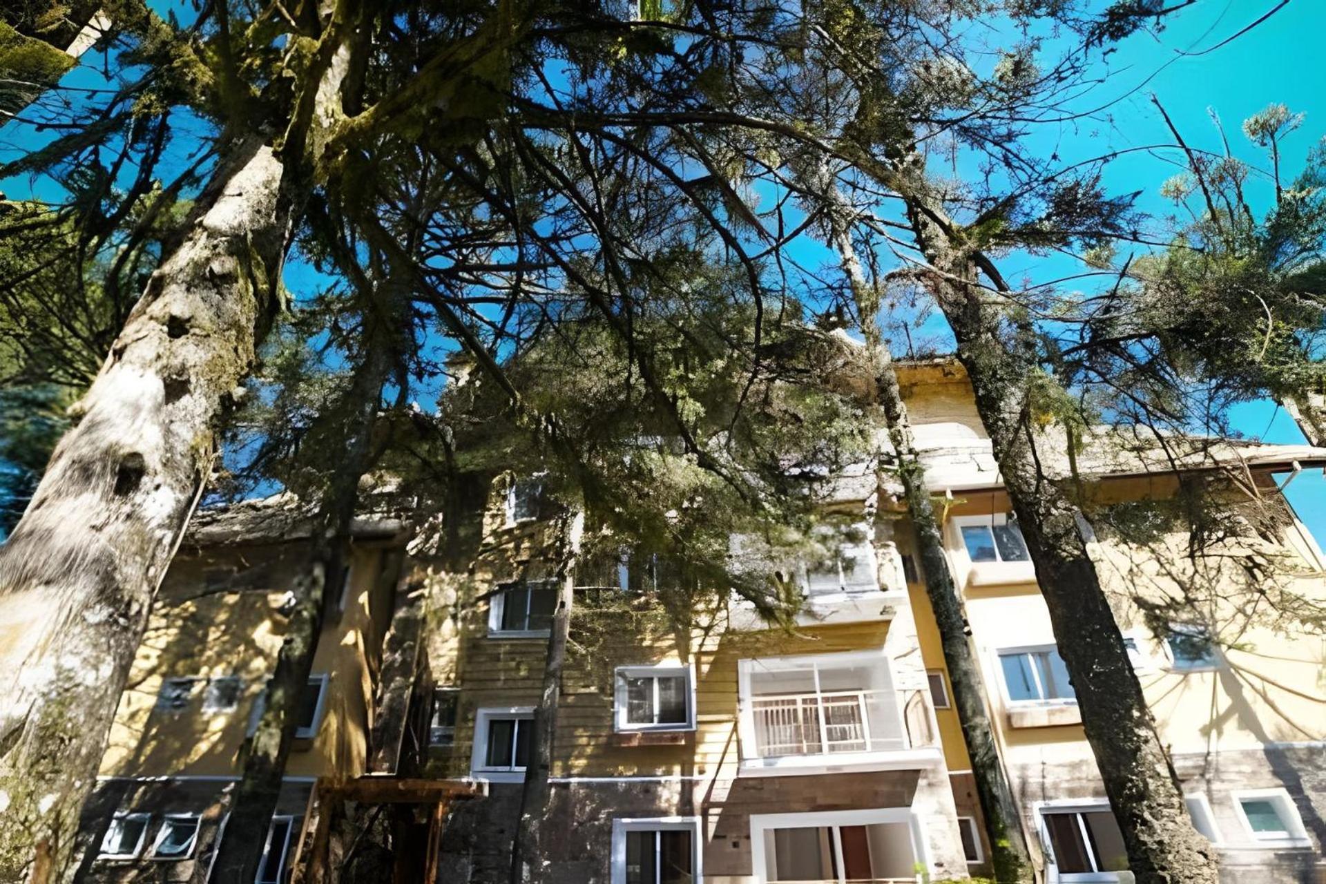 206/2 Apto Luxo Com Piscina Aquecida Грамаду Екстериор снимка